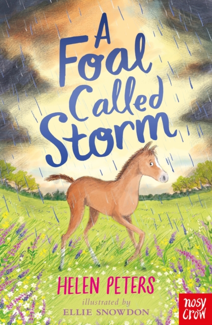 A Foal Called Storm, EPUB eBook
