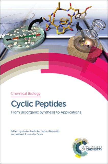 Cyclic Peptides : From Bioorganic Synthesis to Applications, PDF eBook