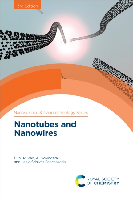 Nanotubes and Nanowires, EPUB eBook