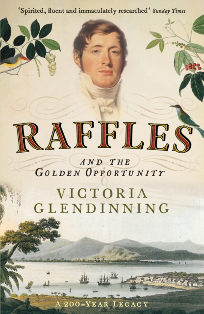 Raffles : And the Golden Opportunity, Paperback / softback Book