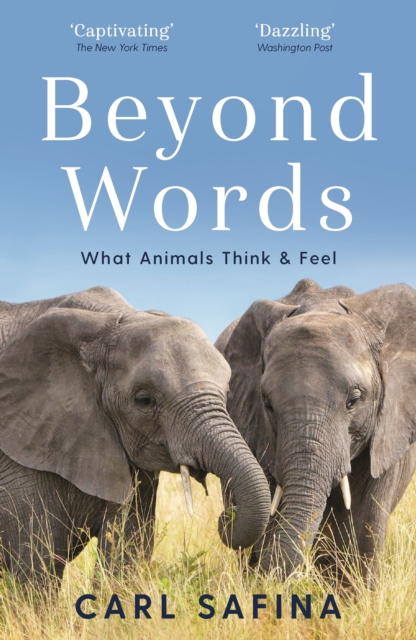 Beyond Words : What Animals Think and Feel, Paperback / softback Book