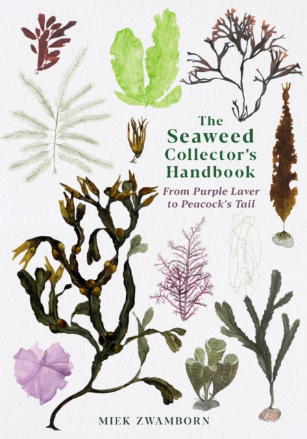 The Seaweed Collector's Handbook : From Purple Laver to Peacock's Tail, Paperback / softback Book