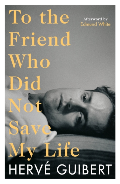 To the Friend Who Did Not Save My Life, Paperback / softback Book