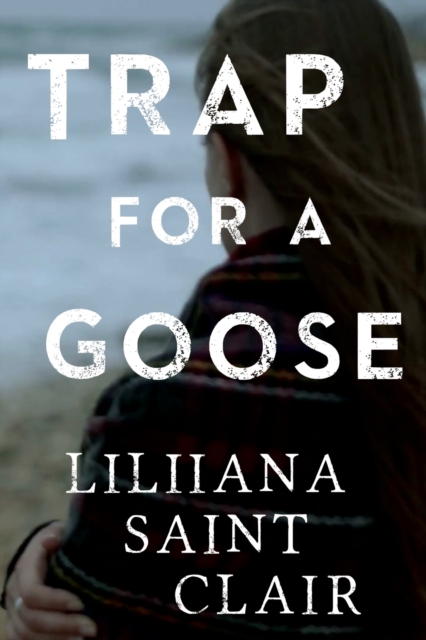 Trap for a Goose, Paperback / softback Book
