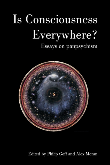 Is Consciousness Everywhere? : Essays on Panpsychism, Paperback / softback Book