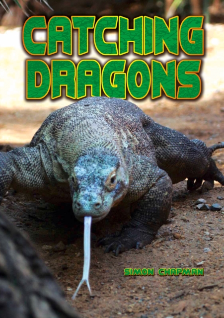 Catching Dragons, PDF eBook