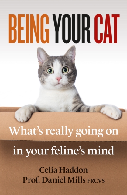 Being Your Cat : What's really going on in your feline's mind, Paperback / softback Book
