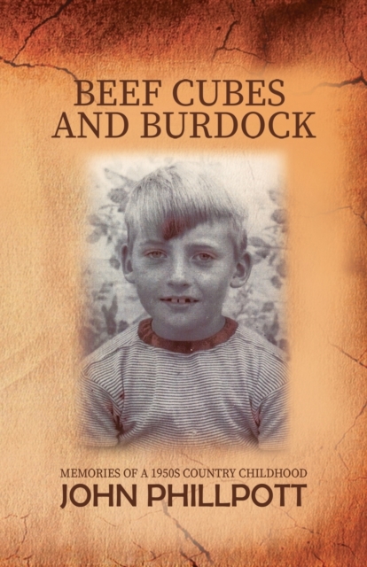Beef Cubes And Burdock, Paperback / softback Book