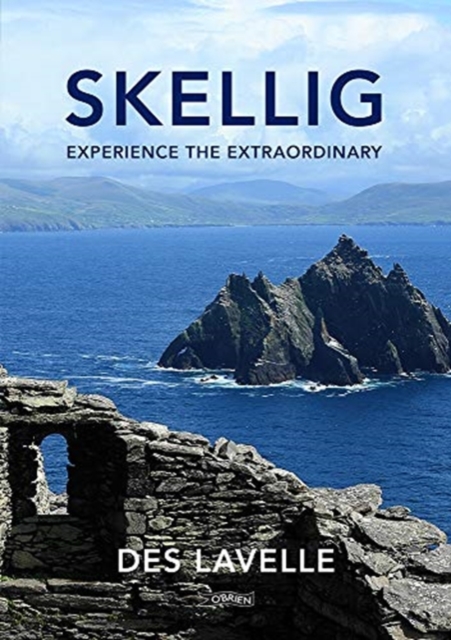 Skellig : Experience the Extraordinary, Paperback / softback Book