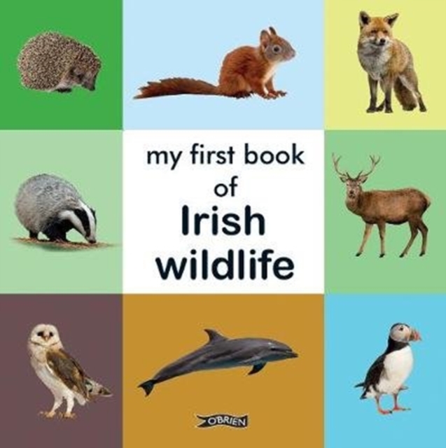 My First Book of Irish Wildlife, Board book Book