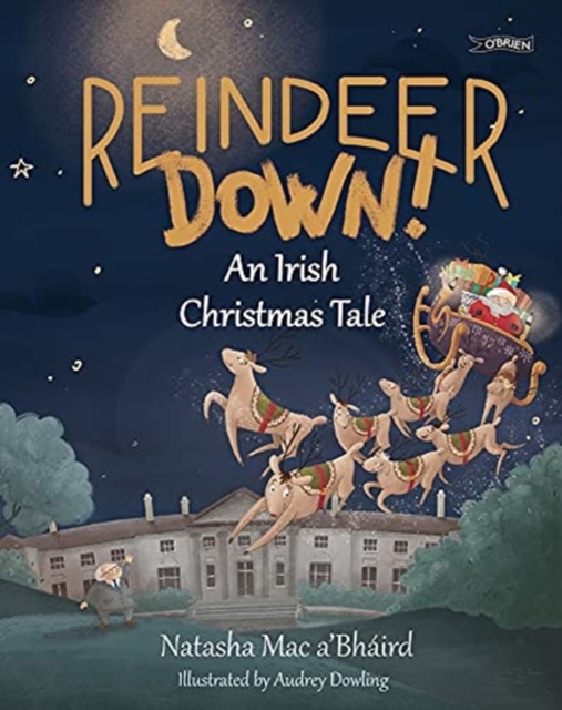 Reindeer Down! : An Irish Christmas Tale, Paperback / softback Book