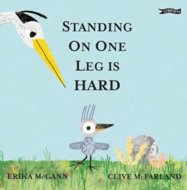 Standing on One Leg is Hard, Hardback Book