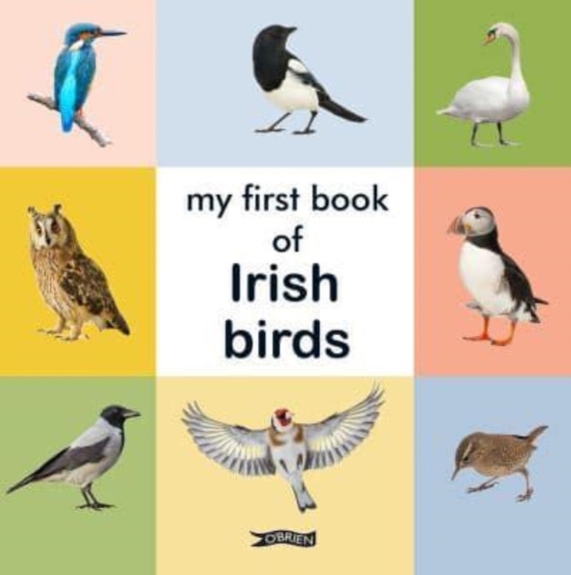 My First Book of Irish Birds, Board book Book