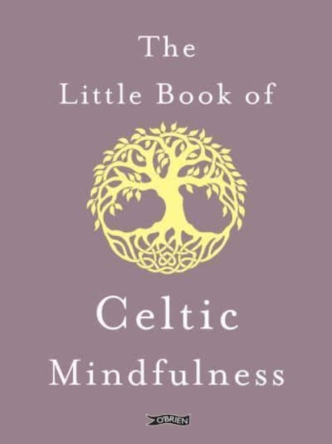 The Little Book of Celtic Mindfulness, Hardback Book