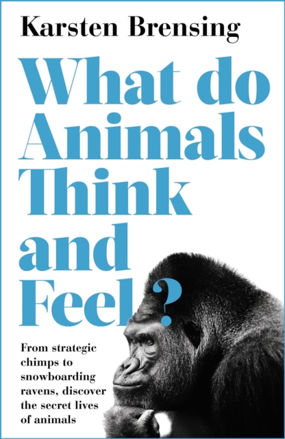 What Do Animals Think and Feel?, Paperback / softback Book