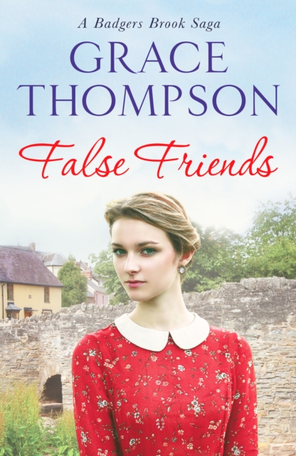 False Friends, Paperback / softback Book