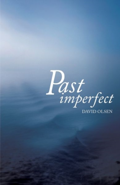 Past Imperfect, Paperback / softback Book