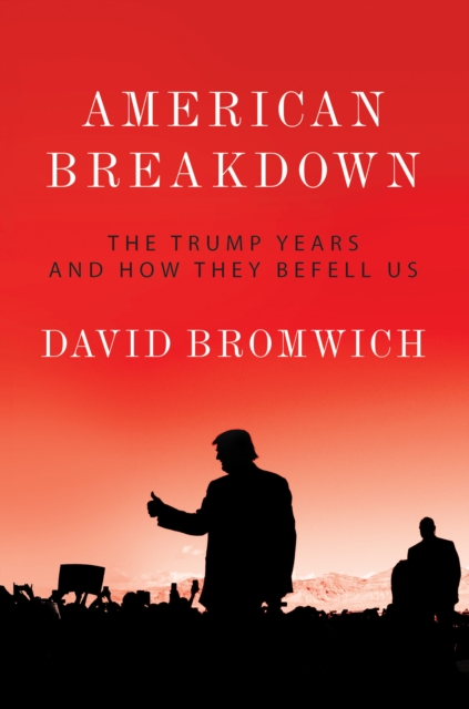 American Breakdown : The Trump Years and How They Befell Us, Hardback Book