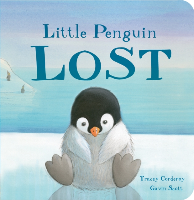 Little Penguin Lost, Board book Book