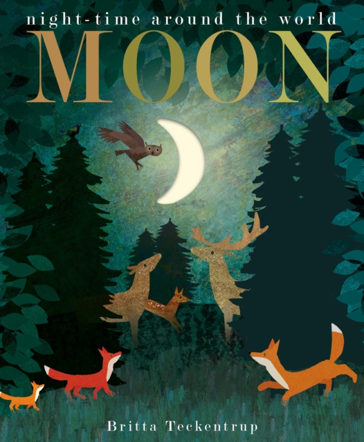 Moon : night-time around the world, Board book Book