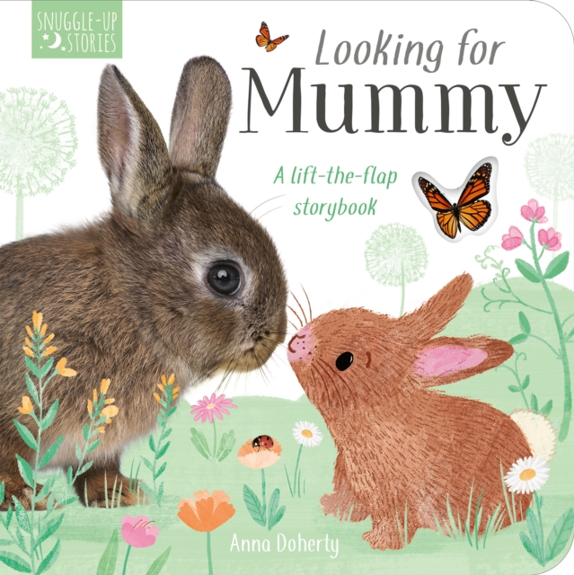 Looking for Mummy, Board book Book