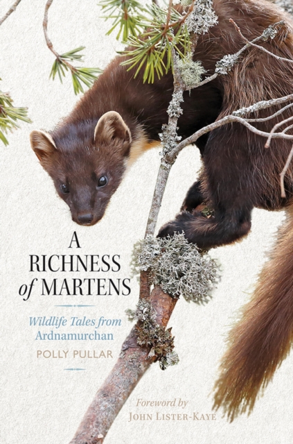 A Richness of Martens : Wildlife Tales from Ardnamurchan, EPUB eBook