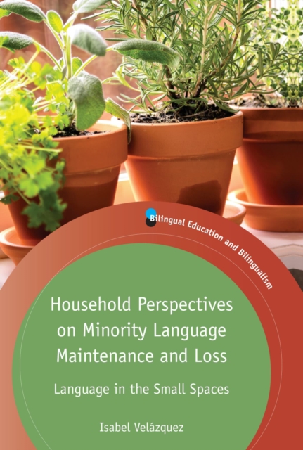 Household Perspectives on Minority Language Maintenance and Loss : Language in the Small Spaces, EPUB eBook