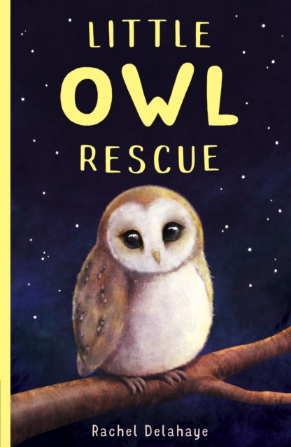 Little Owl Rescue, Paperback / softback Book