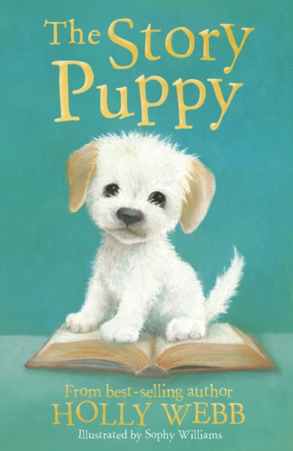 The Story Puppy, Paperback / softback Book