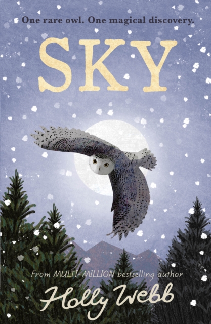 Sky, Hardback Book