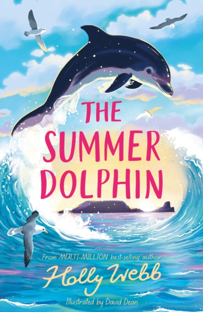 The Summer Dolphin, Paperback / softback Book