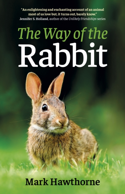 Way of the Rabbit, The, Paperback / softback Book