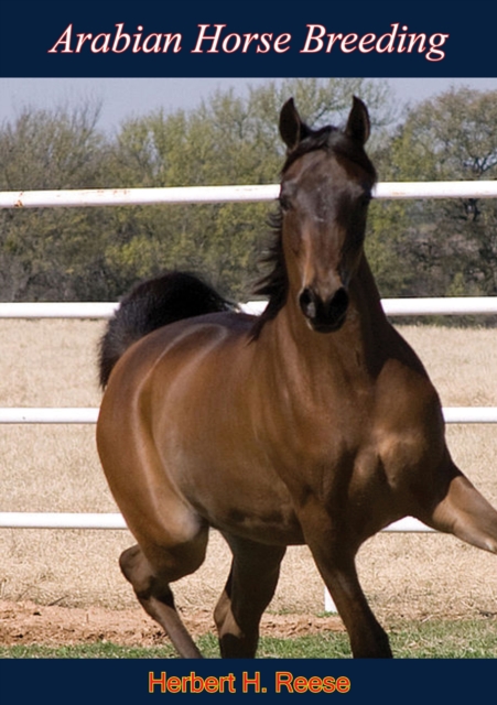Arabian Horse Breeding, EPUB eBook