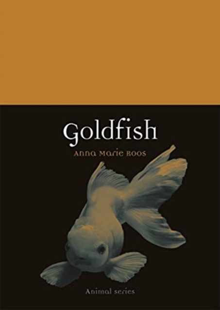Goldfish, Paperback / softback Book