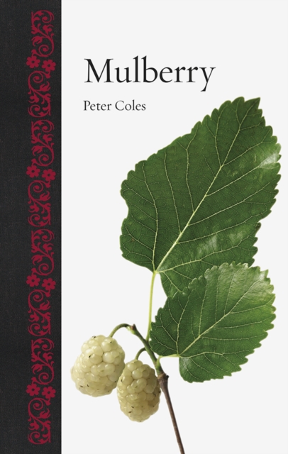 Mulberry, EPUB eBook