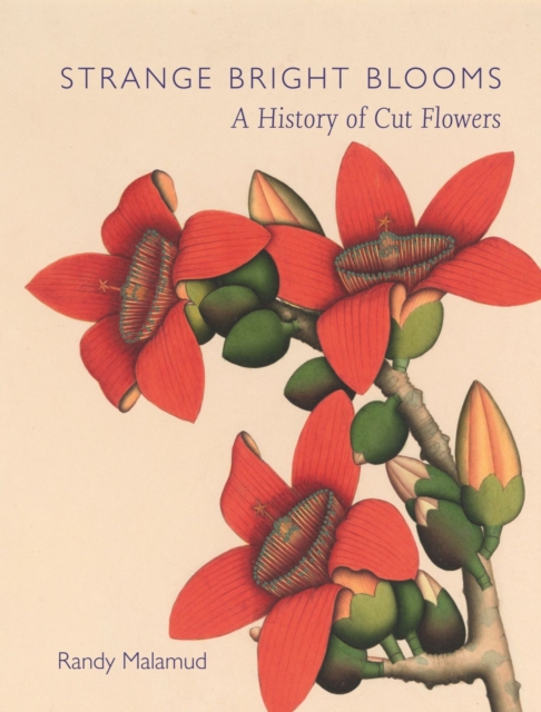 Strange Bright Blooms : A History of Cut Flowers, Hardback Book