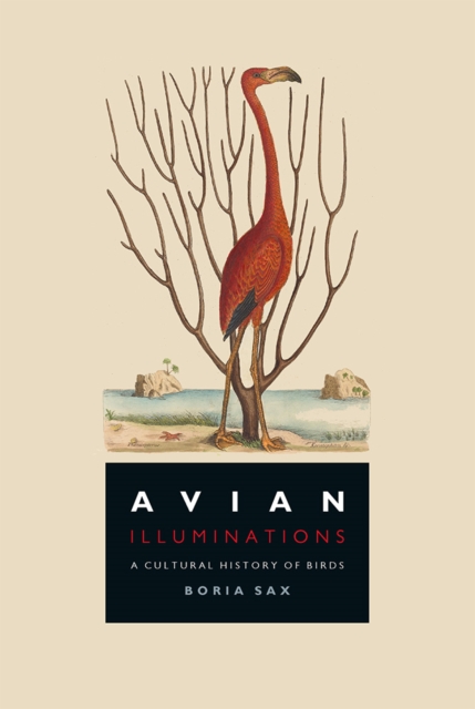 Avian Illuminations : A Cultural History of Birds, EPUB eBook