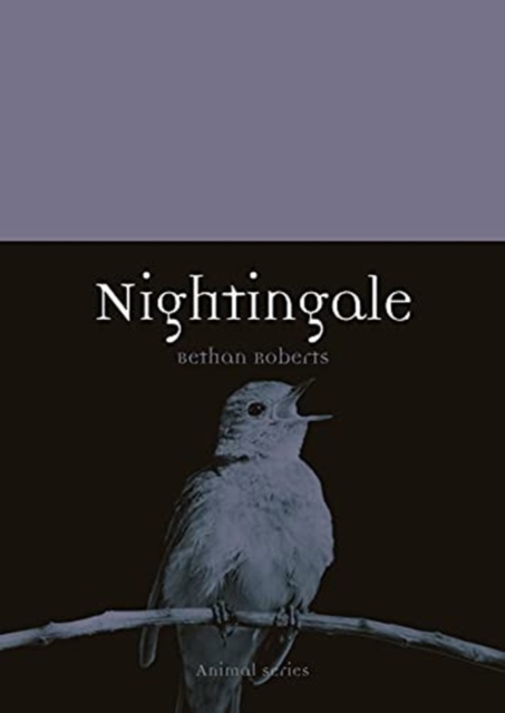 Nightingale, Paperback / softback Book