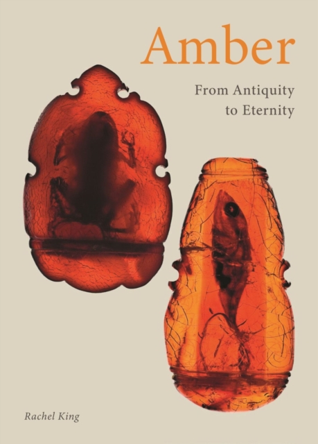 Amber : From Antiquity to Eternity, Hardback Book