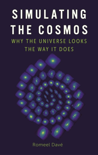Simulating the Cosmos : Why the Universe Looks the Way It Does, Hardback Book