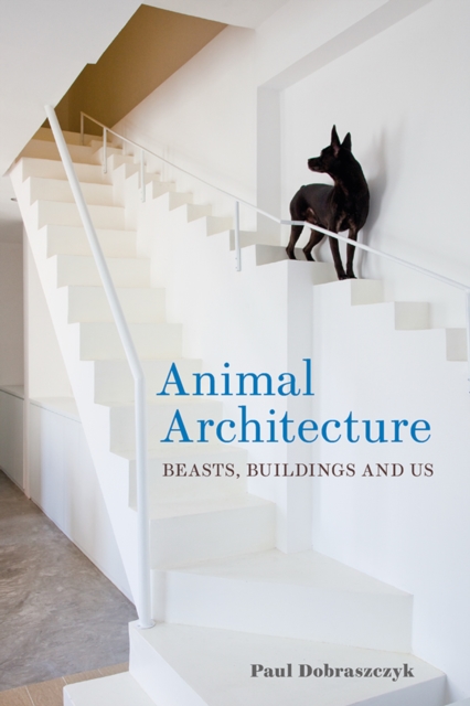 Animal Architecture : Beasts, Buildings and Us, EPUB eBook
