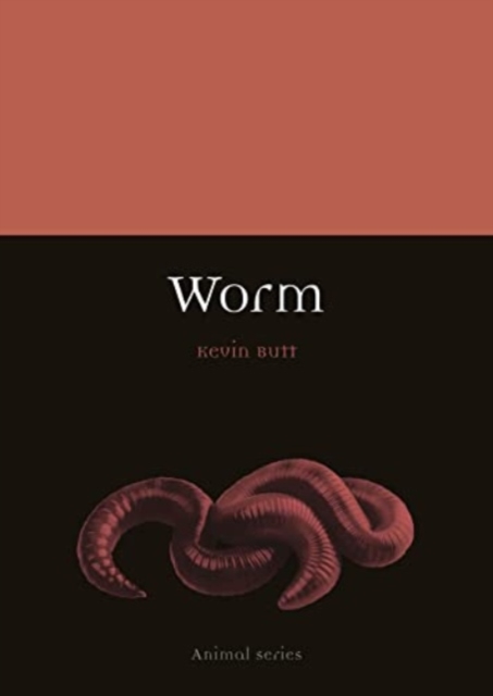 Worm, Paperback / softback Book