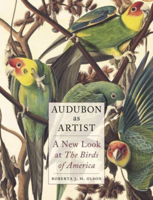 Audubon as Artist : A New Look at the Birds of America, Hardback Book