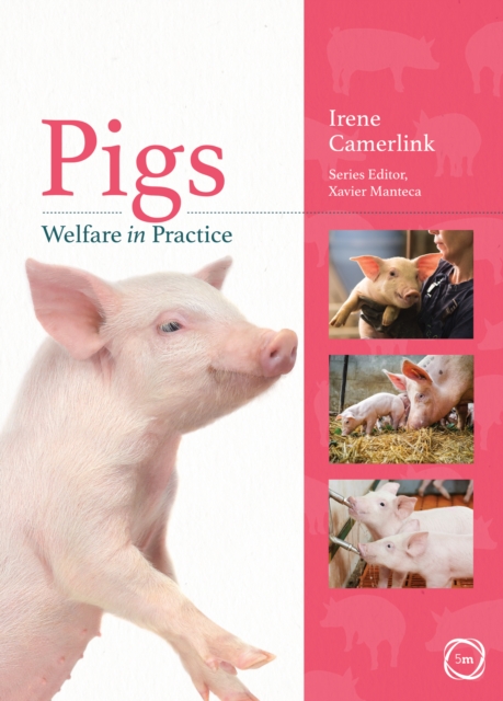 Pigs Welfare in Practice, Paperback / softback Book