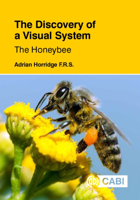 Discovery of a Visual System - The Honeybee, The, Hardback Book