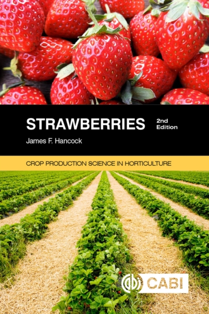 Strawberries, Paperback / softback Book