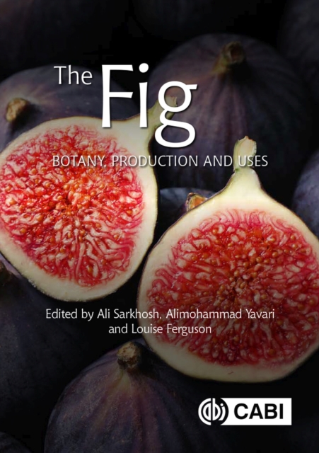 The Fig : Botany, Production and Uses, Hardback Book