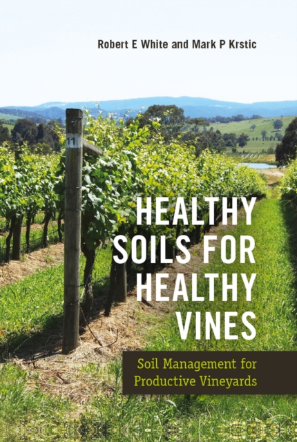 Healthy Soils for Healthy Vines : Soil Management for Productive Vineyards, Hardback Book