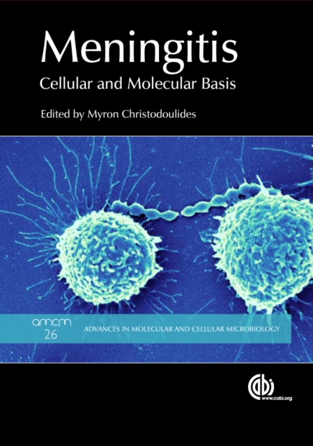 Meningitis : Cellular and Molecular Basis, EPUB eBook