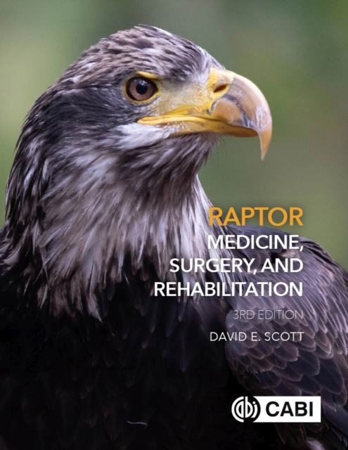 Raptor Medicine, Surgery, and Rehabilitation, Hardback Book